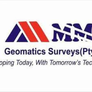 MM Geometric Surveys