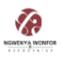 Ngwenya Wonfor & Associates